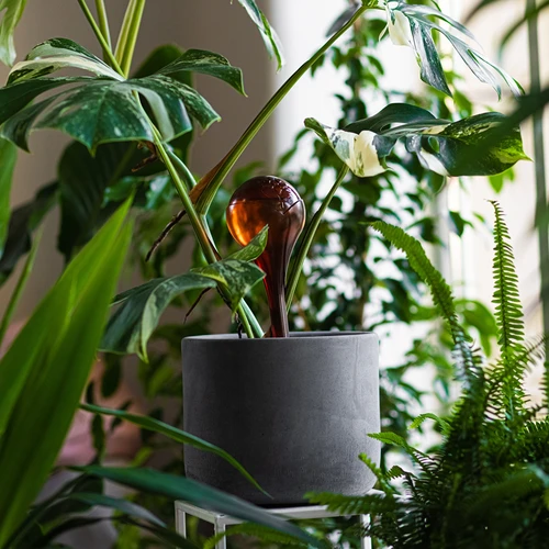 Zavlažovací koule pro rostliny, jantarové průhledné, 400 ml, 4 ks - 9