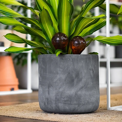 Zavlažovací koule pro rostliny, jantarové průhledné, 400 ml, 4 ks - 12