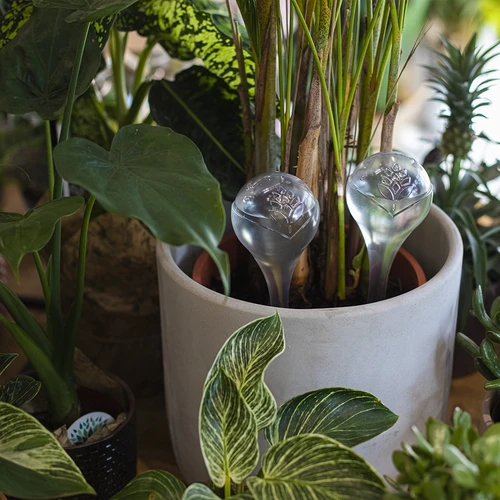 Zavlažovací koule pro rostliny, průhledné, 400 ml, 2 ks - 9