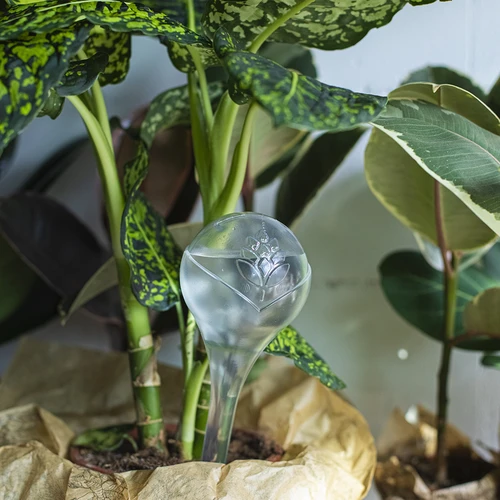 Zavlažovací koule pro rostliny, průhledné, 400 ml, 2 ks - 11
