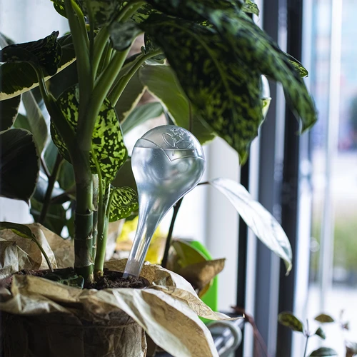 Zavlažovací koule pro rostliny, průhledné, 400 ml, 2 ks - 12