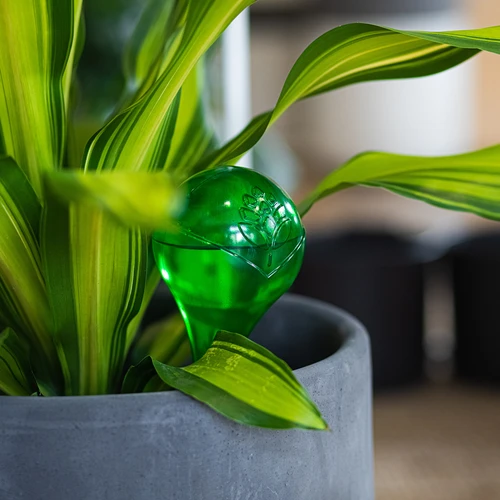 Zavlažovací koule pro rostliny, zelené průhledné, 400 ml, 2 ks. - 11