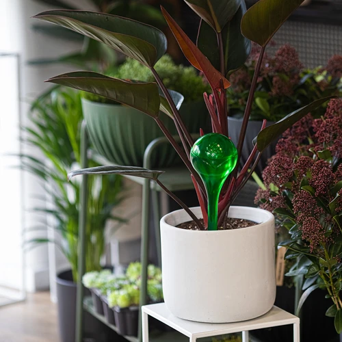 Zavlažovací koule pro rostliny, zelené průhledné, 400 ml, 4 ks - 9