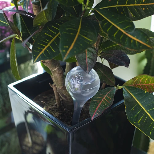 Zavlažovací koule, průhledné, 400 ml, 4 ks - 9