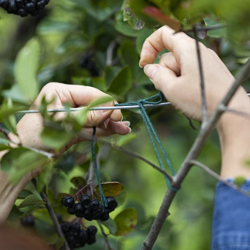 Zelený bavlněný provázek 2 mm/55 m/100 g - 7