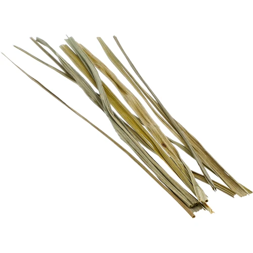 Žubrůvka - Tomka vonná 12 ks / 4 L - 4