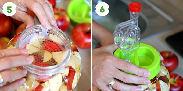 Domácí jablečný ocet