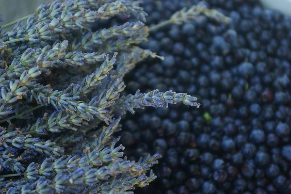 Domácí levandulovo-borůvkové víno