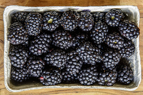 Domácí polosladké ostružinové víno