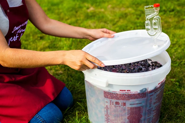 Jak vyrobit víno krok za krokem?