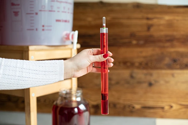 Jak vyrobit víno krok za krokem?