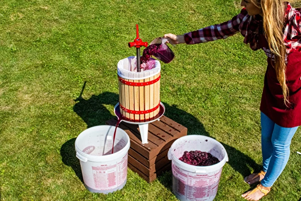 Jak vyrobit víno krok za krokem?