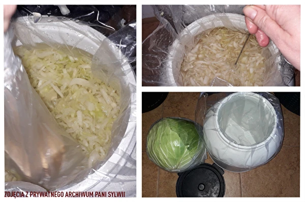 Kysané zelí podle receptu paní Sylwii