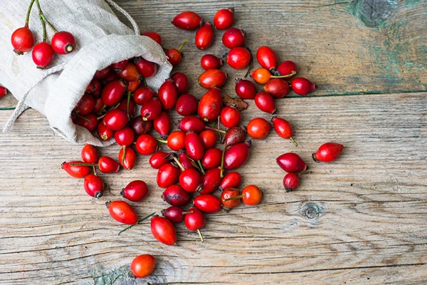 Víno z šípků s medem