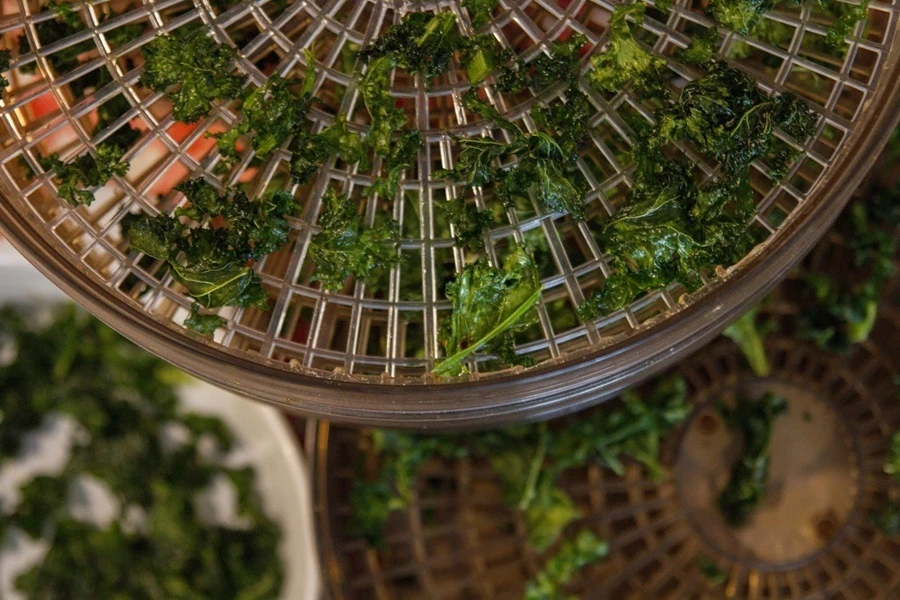 Chipsy z kadeřávku