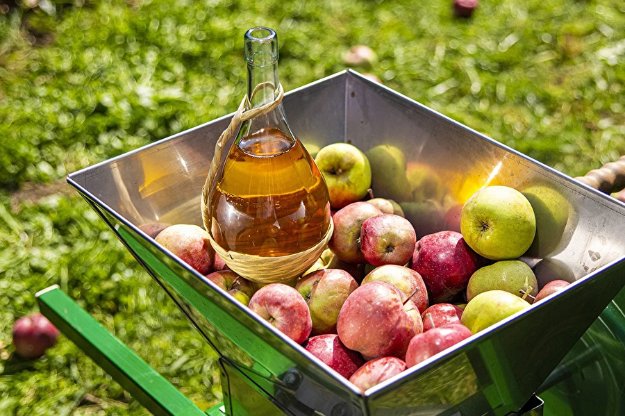 Browin Przepiśnik - Domácí cider