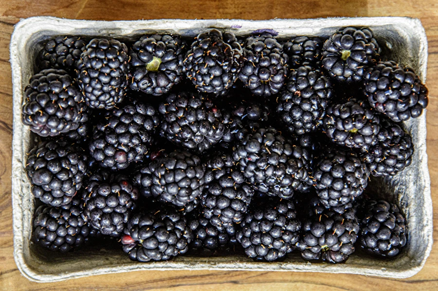 Browin Przepiśnik - Domácí polosladké ostružinové víno