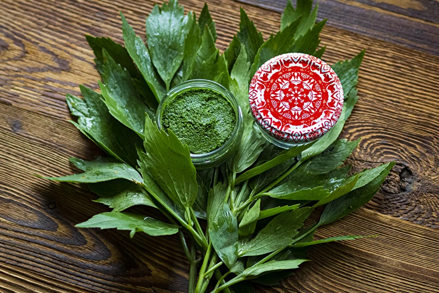 Pasta z libečku — domácí koření MAGGI